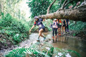 BIB: 
                            <button type="button" onclick="openModal(25477774)" class="btn btn-primary btn-sm float-right btn-popup" data-toggle="modal" data-target=".modal-high-quality">
                        <i class="fas fa-shopping-cart"></i> Add to Cart
                    </button>
                                            <button type="button" onclick="isThisMe(25477774, true)" class="btn btn-success btn-sm float-right btn-popup btn-isme hidden" data-toggle="tooltip" data-placement="bottom" title="นี่คือรูปของคุณใช่ไหม คลิกที่นี่เพื่อเอาเข้าอัลบั้ม">
                        <i class="fas fa-plus"></i> Add to album
                    </button>
                    <button type="button" onclick="isThisMe(25477774, false)" class="btn btn-warning btn-sm float-right btn-popup btn-isnotme hidden">
                        <i class="fas fa-ban"></i> Remove from album
                    </button>